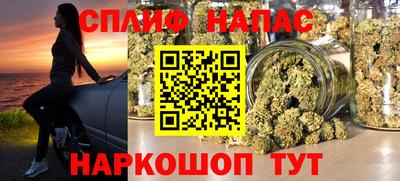 сатива Камышлов