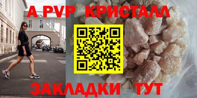 герыч Кингисепп