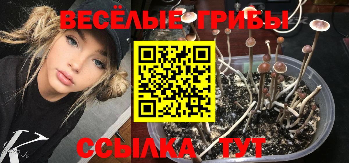 Псилоцибиновые грибы ЛСД Коммунар