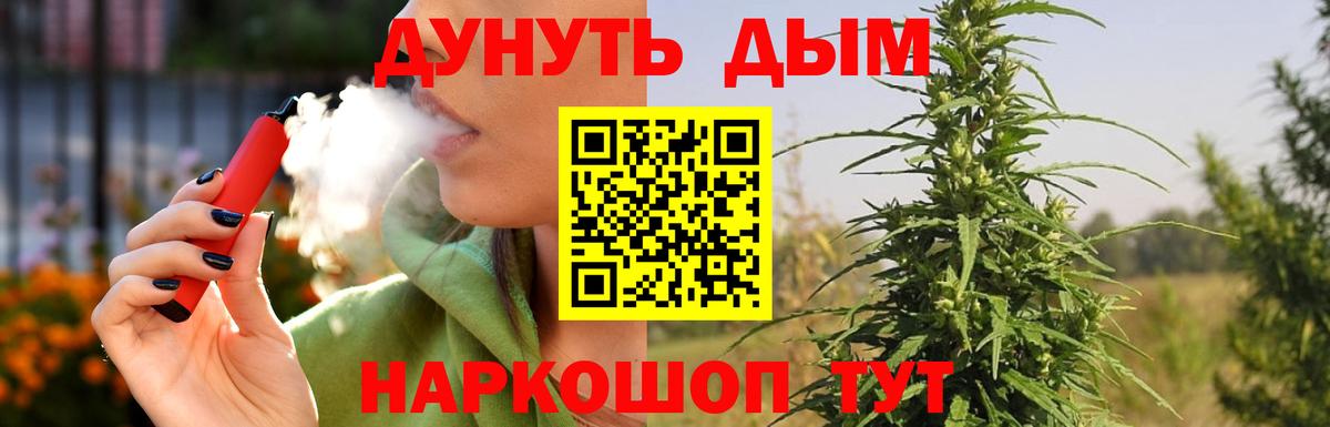 Канабис сатива Коммунар